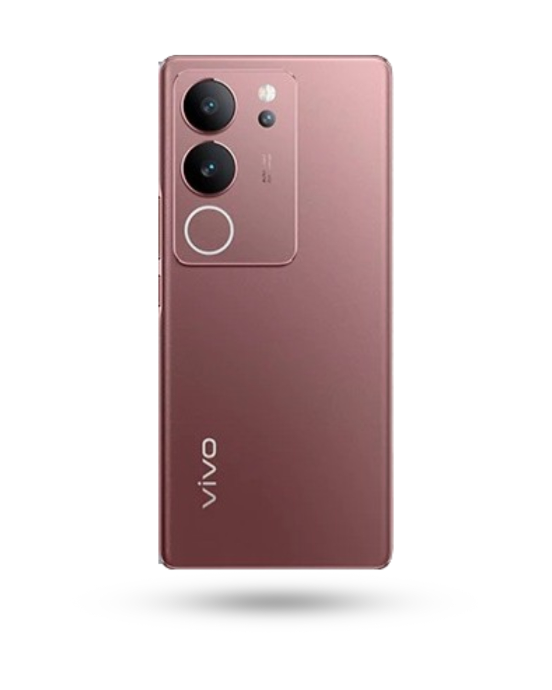 Vivo V29